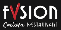 LOGO-fvsionCR-300